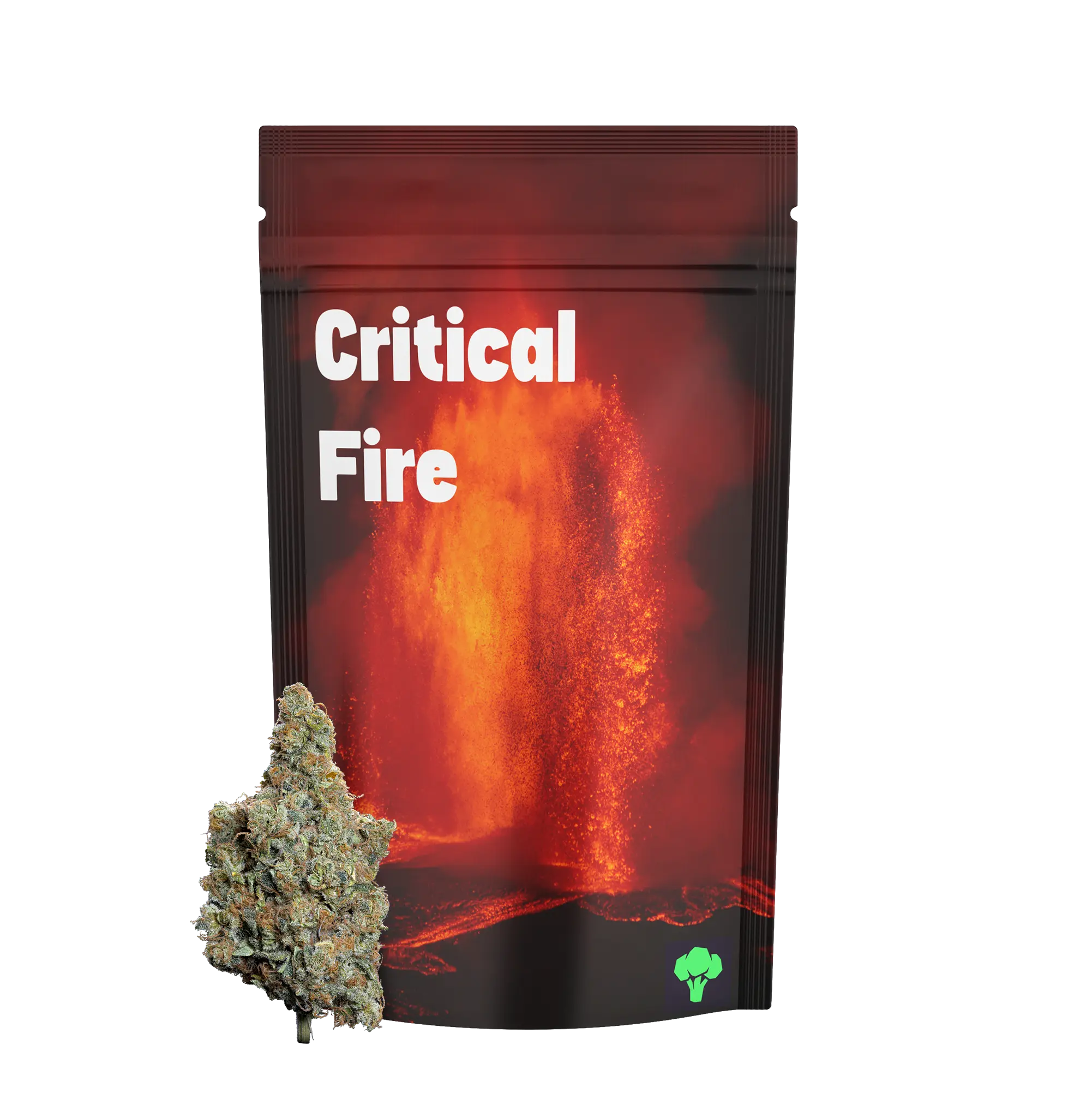 BROCOLICLUB FLEUR CRITICAL FIRE
