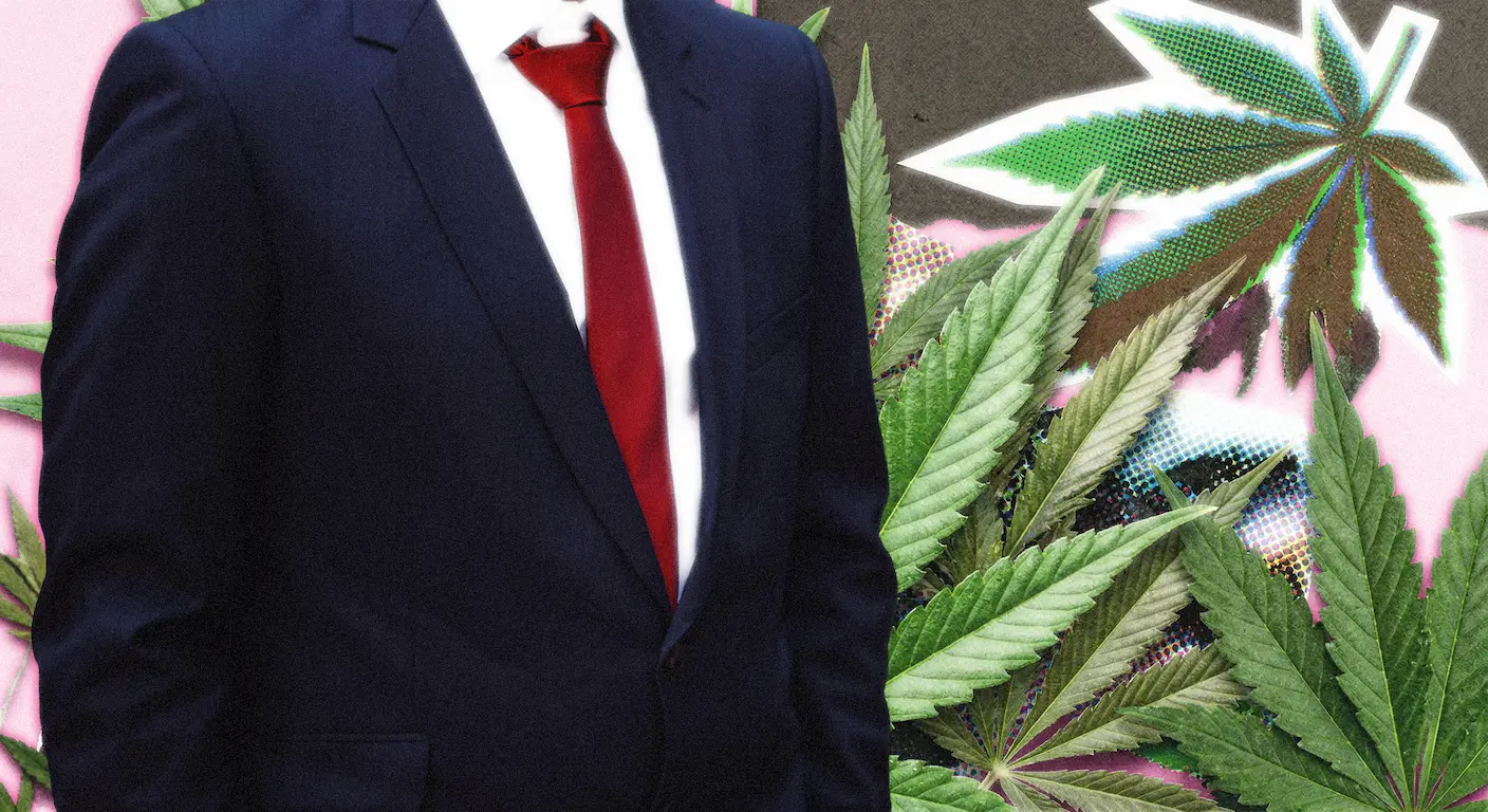 Brocoliclub Trump le Cannabis et les Etats Unis Ce que la Reclassification Change Vraiment